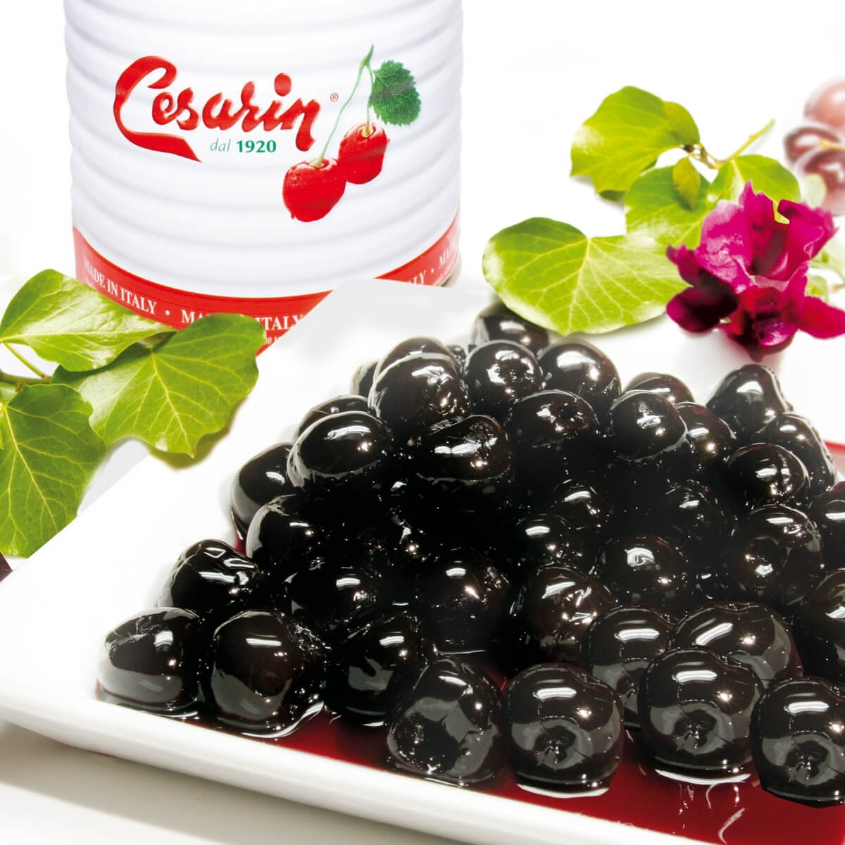 Cesarin 義大利阿瑪瑞諾酸櫻桃 盤裝