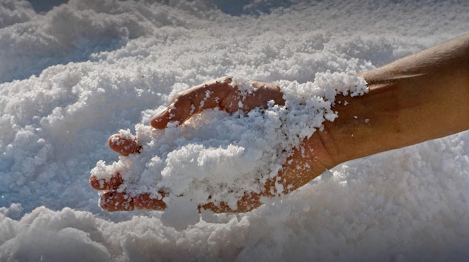 法國 Sel de Salies-de-Béarn 天然泉鹽